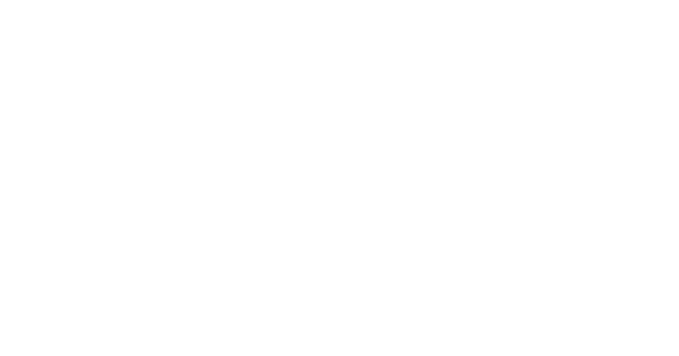 100 Starlings Logo
