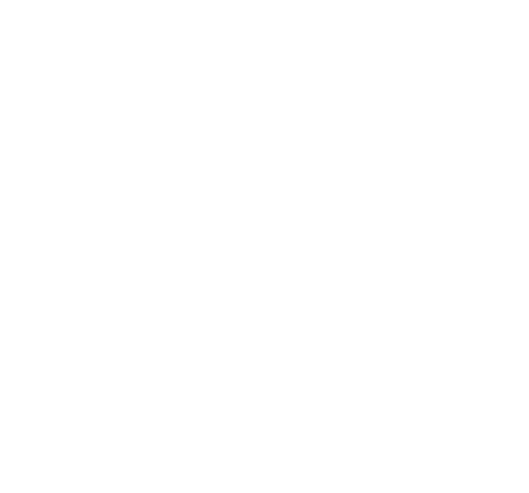 Code Mesh V Logo